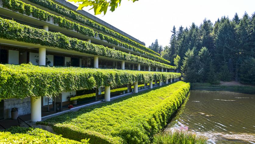 WeyerhaeuserIntlHQ_feature_ChrisDimond-PWP_2015.jpg Weyerhaeuser Corporate Headquarters, Federal Way, WA