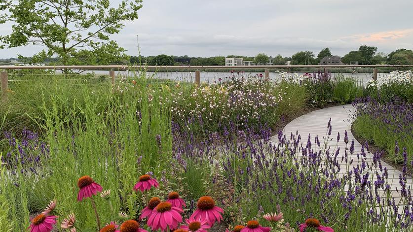 Bridge View, Sagaponack, NY