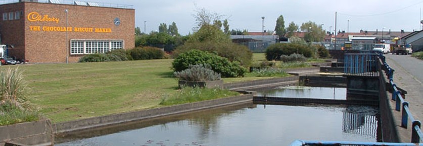 cadbury_banner-1600.jpg