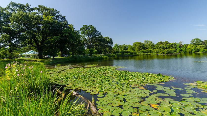 Jackson Park, Chicago, IL