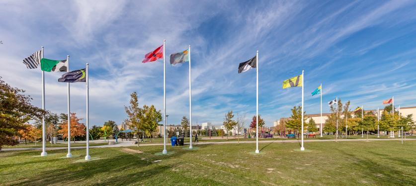 Flag Field, Toronto