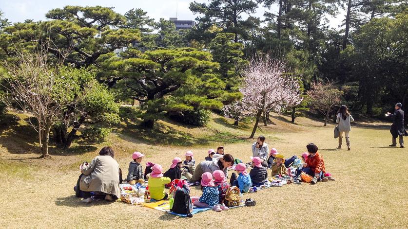ritsurin 2.jpg Japanese schoolchildren enjoying a picnic under the cherry blossoms at Ritsurin