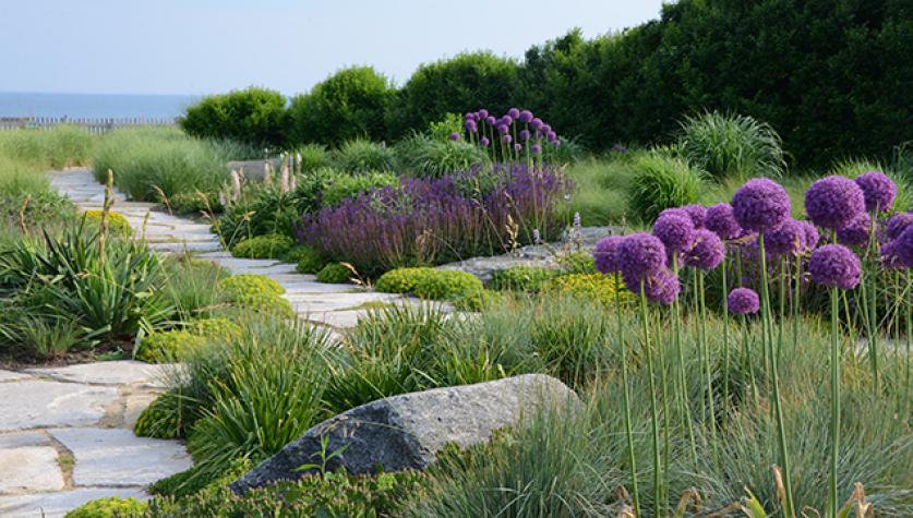 The Slifka Beach House, featured in The New American Garden exhibition at the National Building Museum - Photo © Sara Cedar Miller