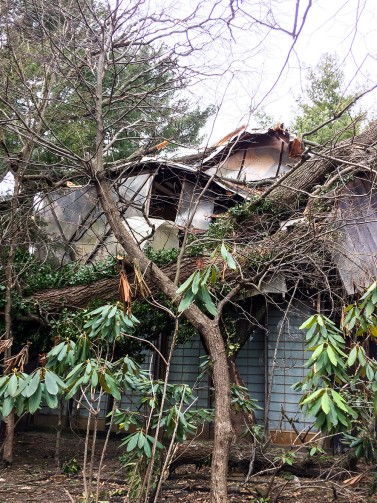 Damage to the James Rose Residence