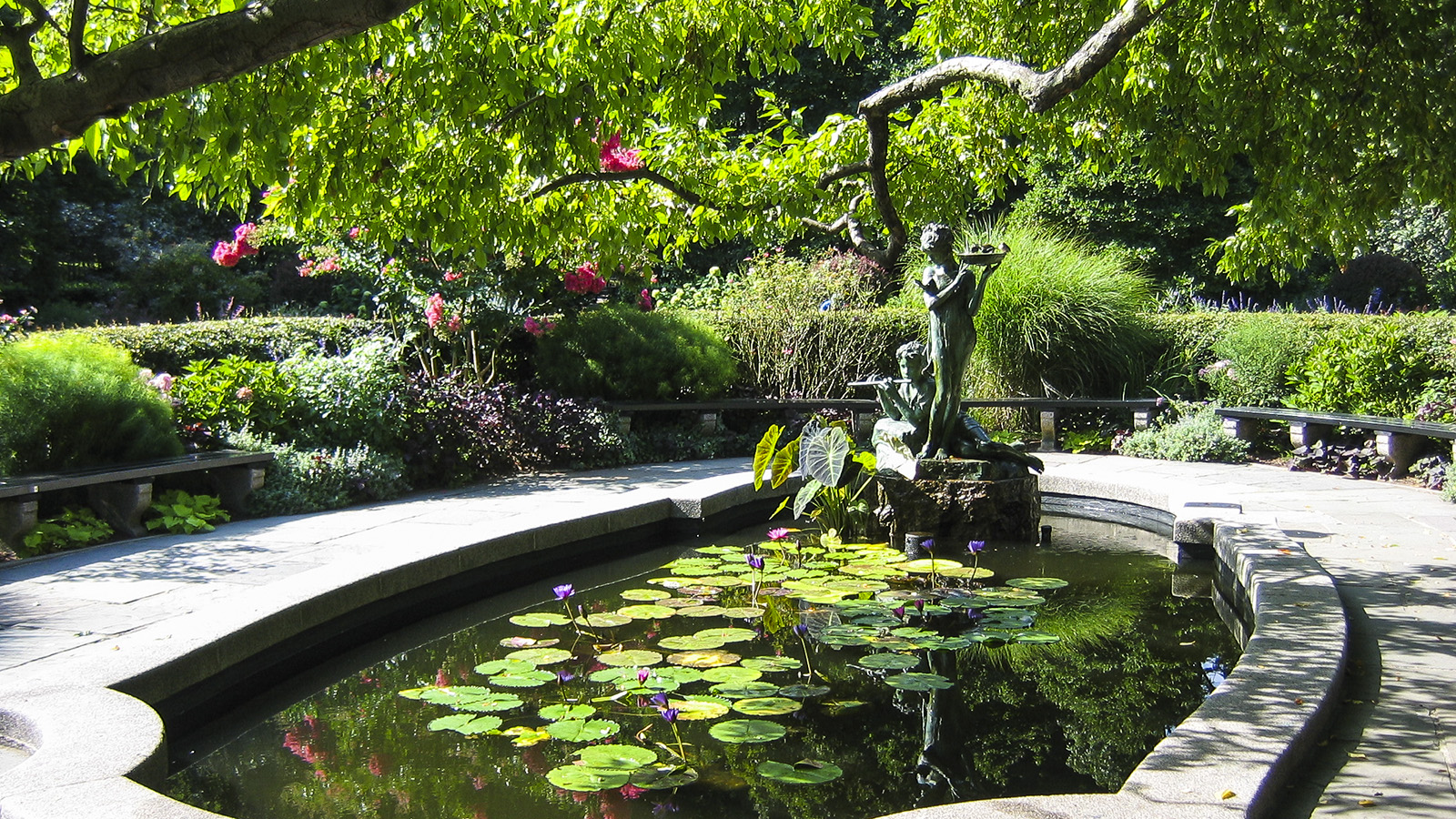 Lily of the Valley  Central Park Conservancy