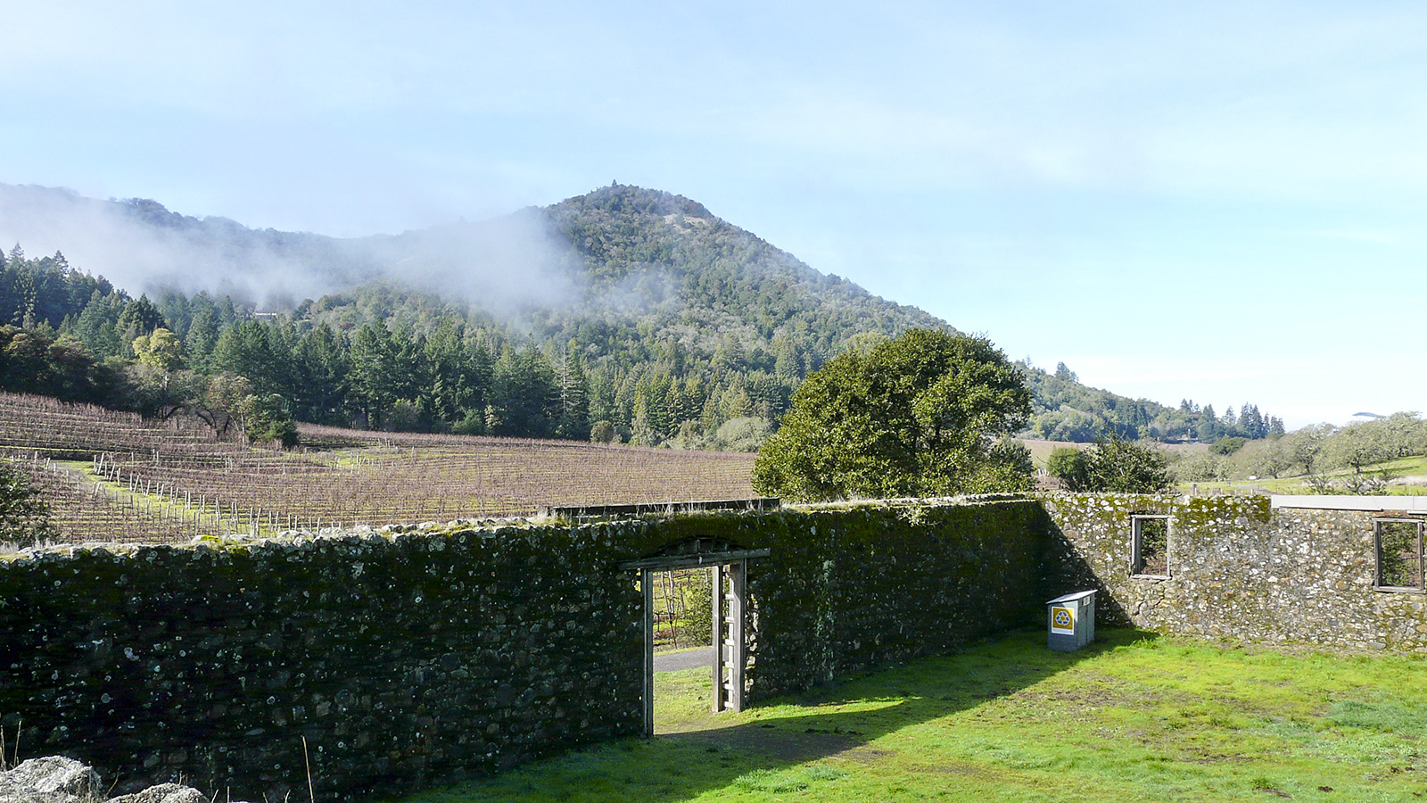 Jack London State Historic Park, Glen Ellen, CA