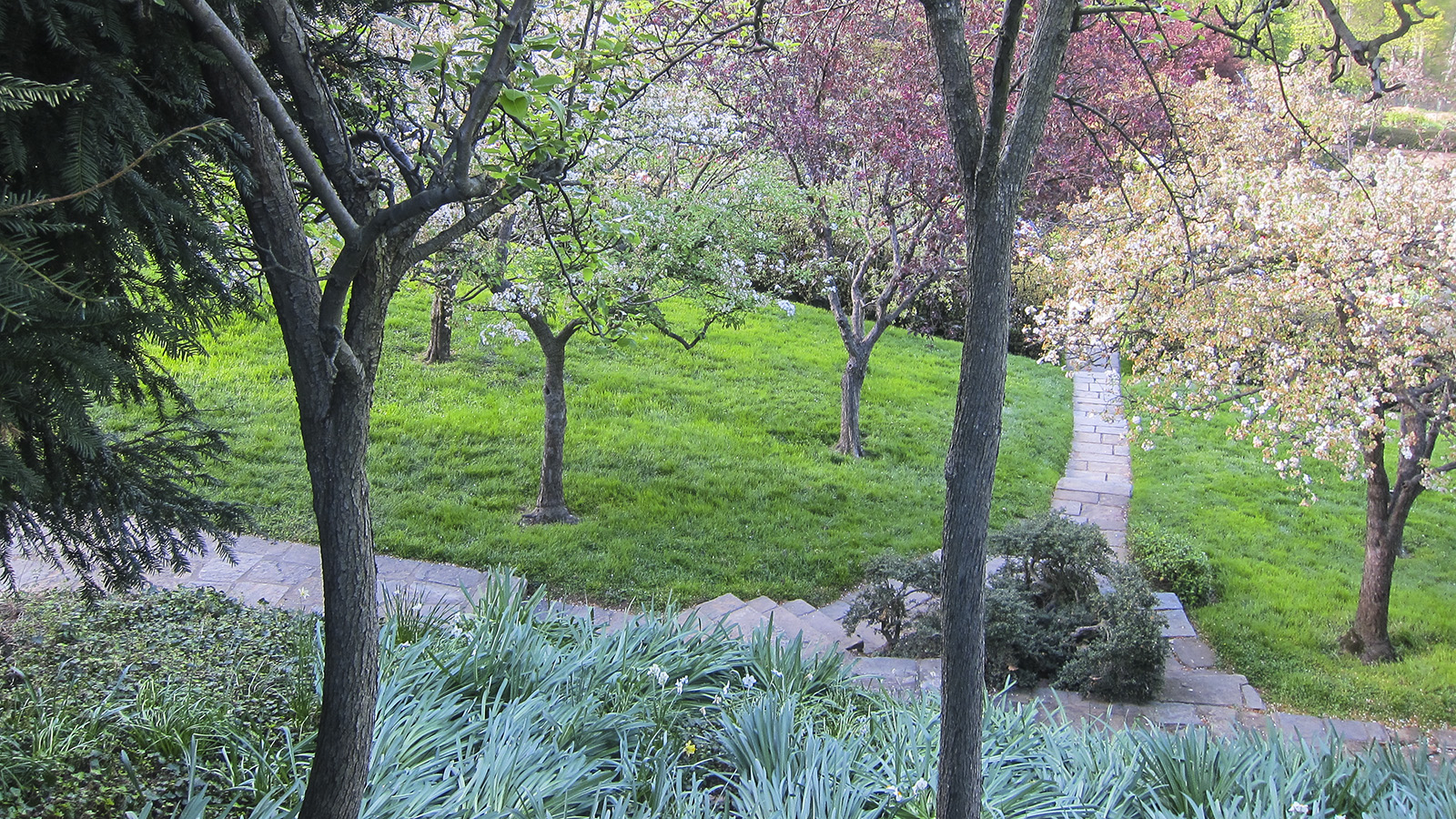 Dumbarton Oaks, Washington, DC