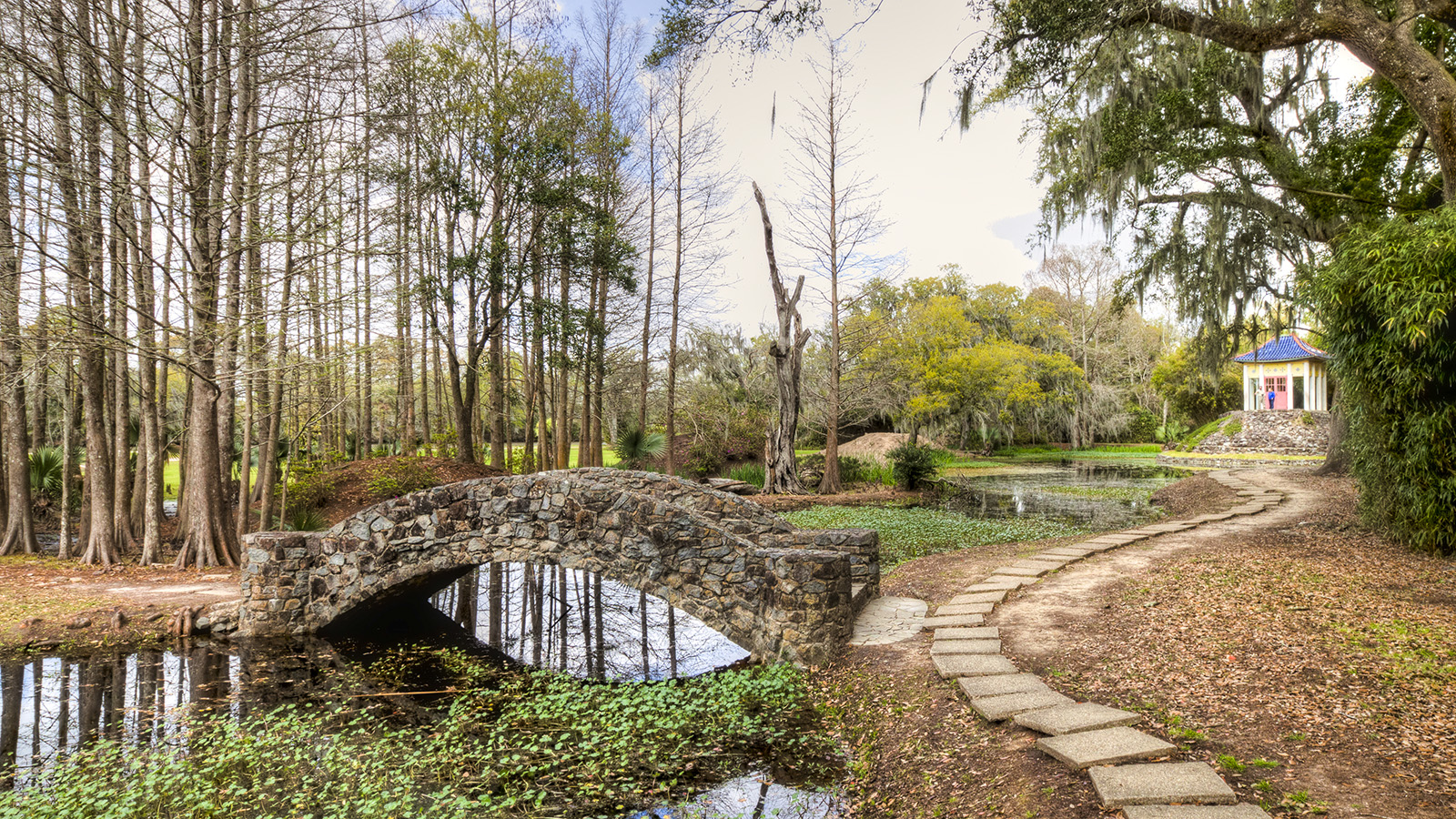 Jungle Gardens, Avery Island, LA