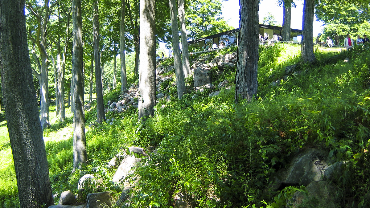 Philip Johnson Glass House