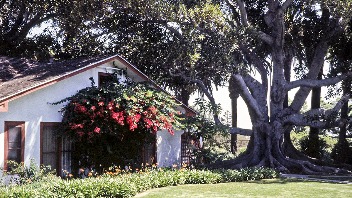 Rancho Los Alamitos