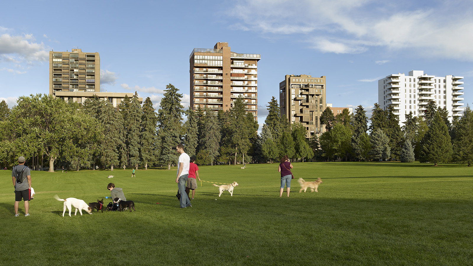 Cheesman Park, Denver, CO