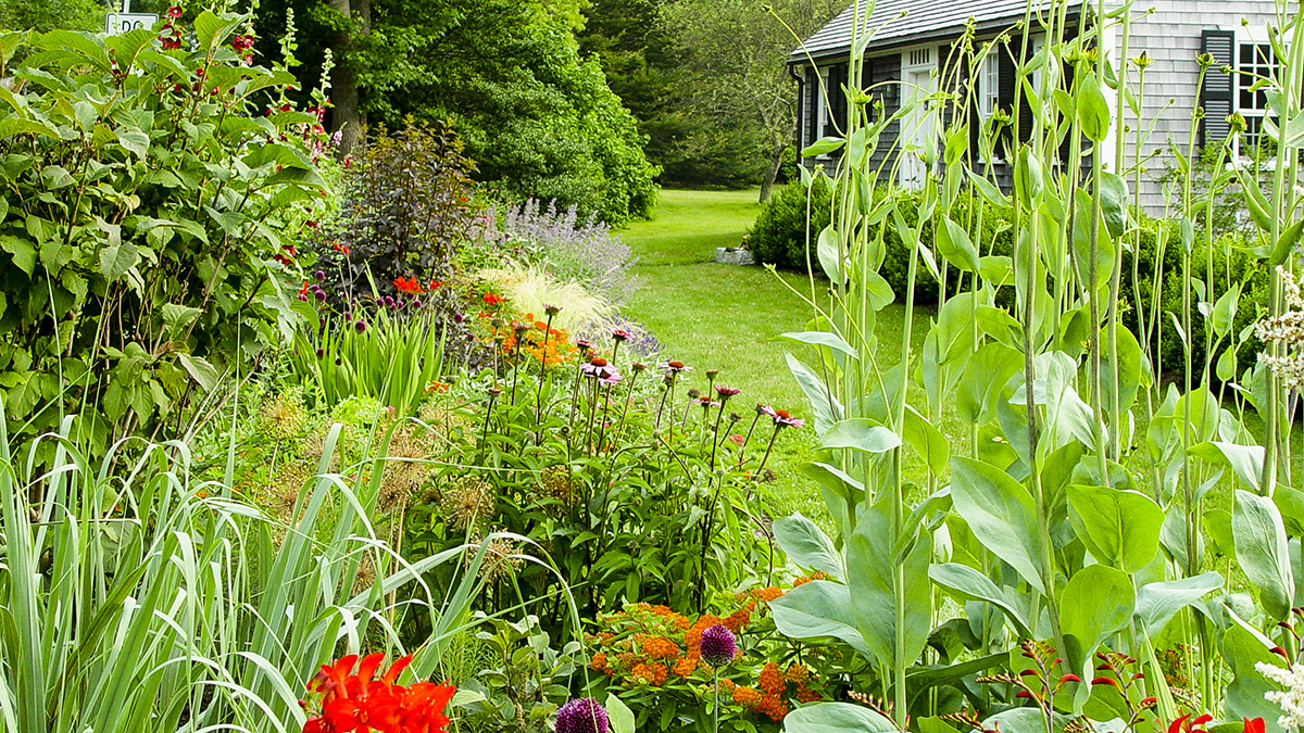 Polly Hill Arboretum