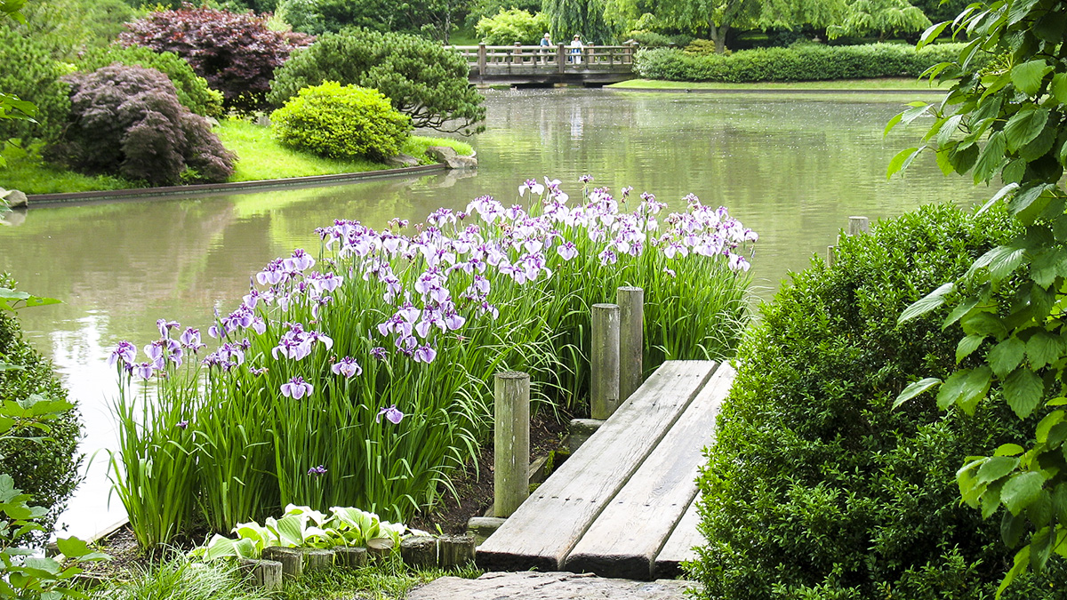 Missouri Botanical Garden Japanese Garden | The Cultural Landscape