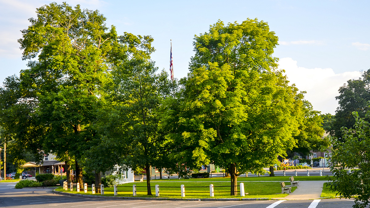 Lee Town Park, Lee, MA