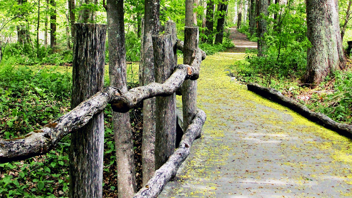 Mary Flynn Trail, Stockbridge, MA