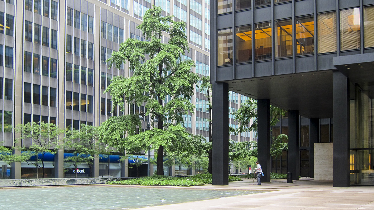 Seagram Building and Plaza, New York City