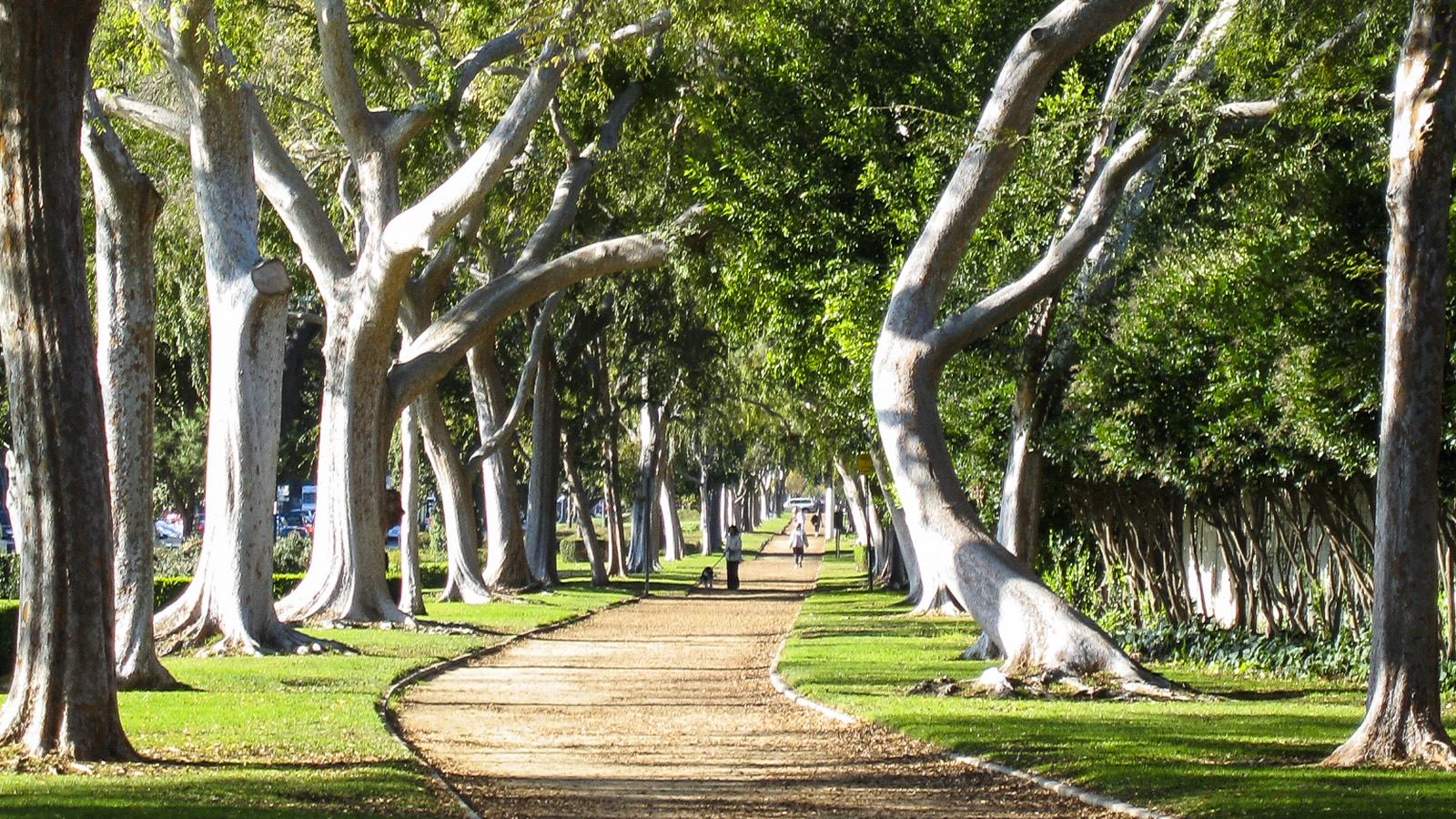 Beverly Gardens Park, Los Angeles, CA
