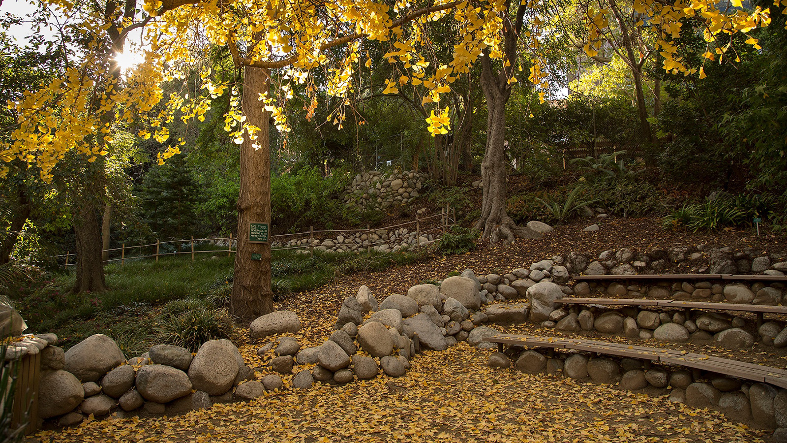 Mildred E. Mathias Botanical Garden, University of California, Los Angeles, CA