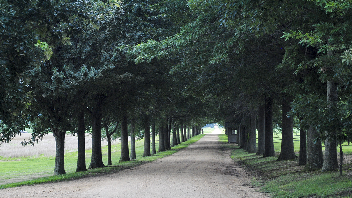 Shirley Plantation, Charles City, VA