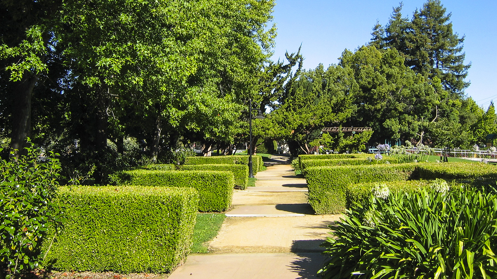 Bowden Park, Palo Alto, CA