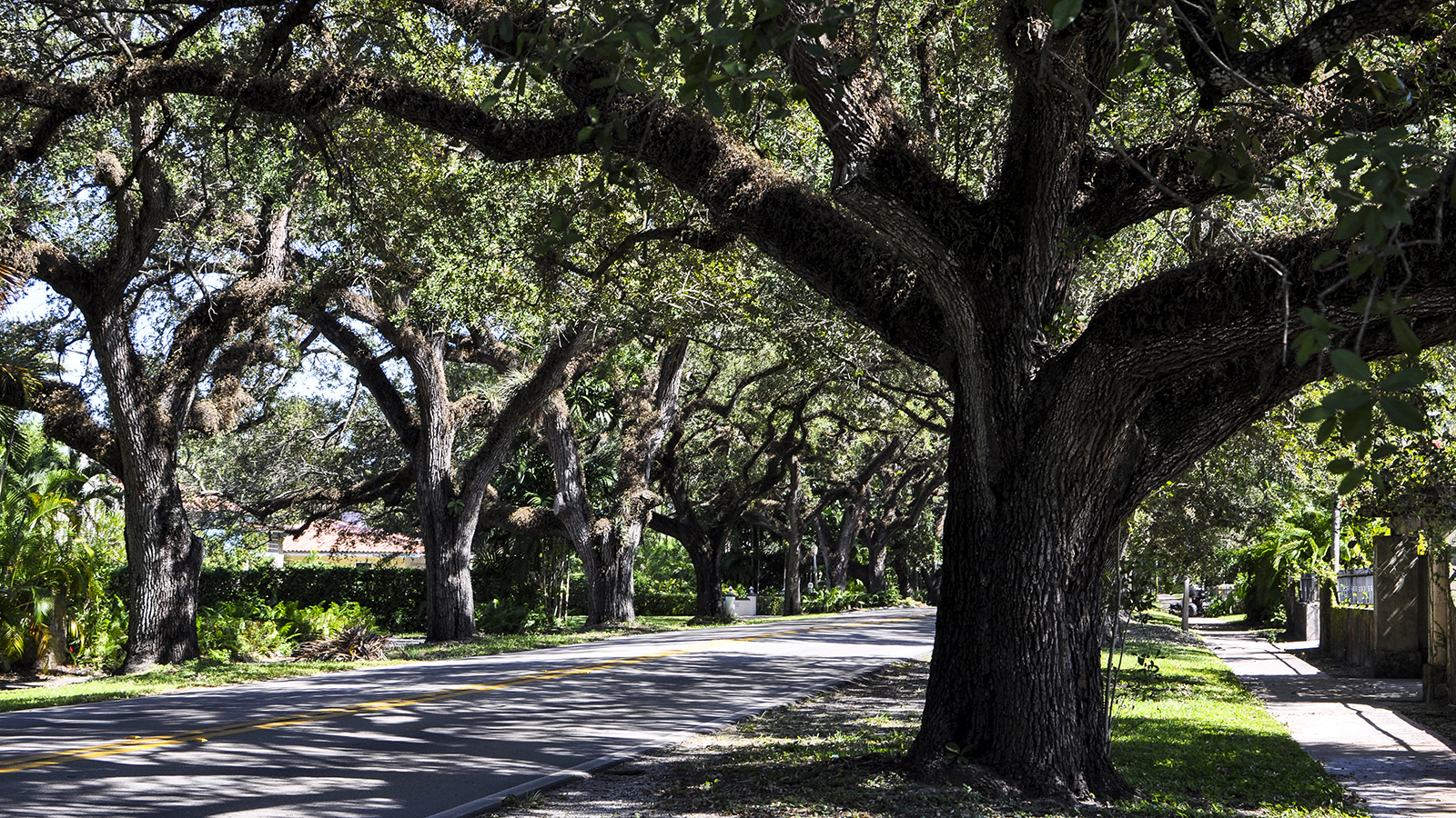 Coral Gables, FL