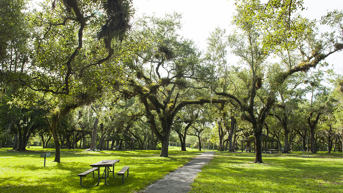 Matheson Hammock Park, Coral Gables, FL