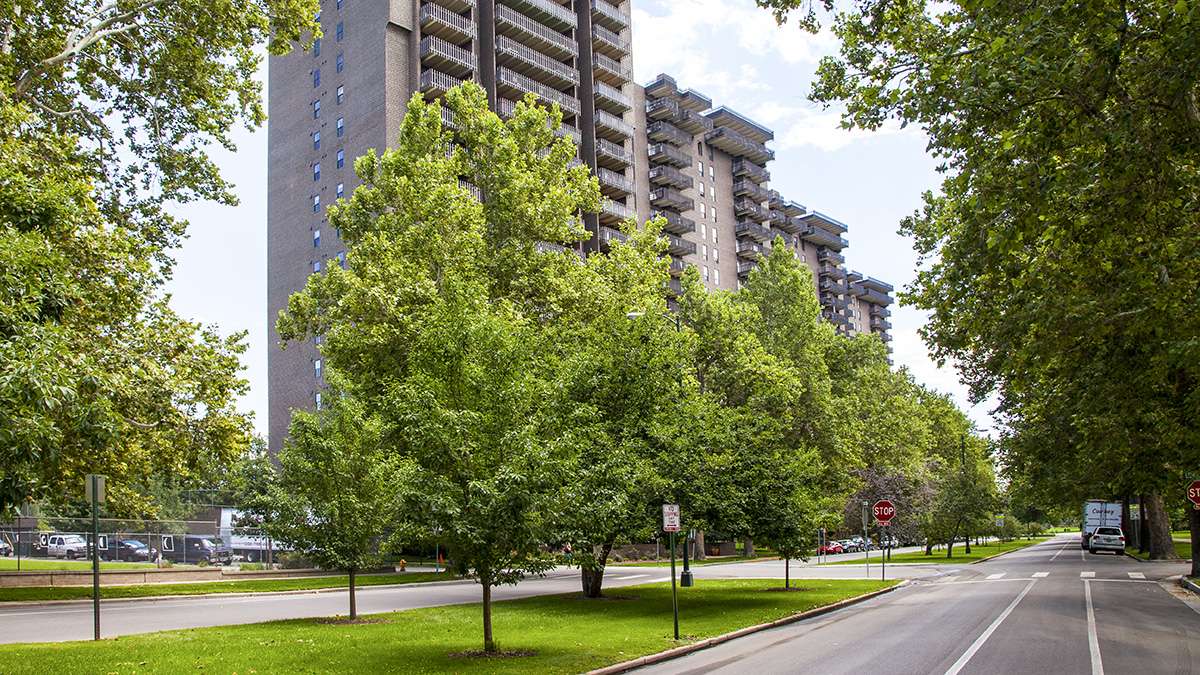 South Marion Street Parkway, Denver