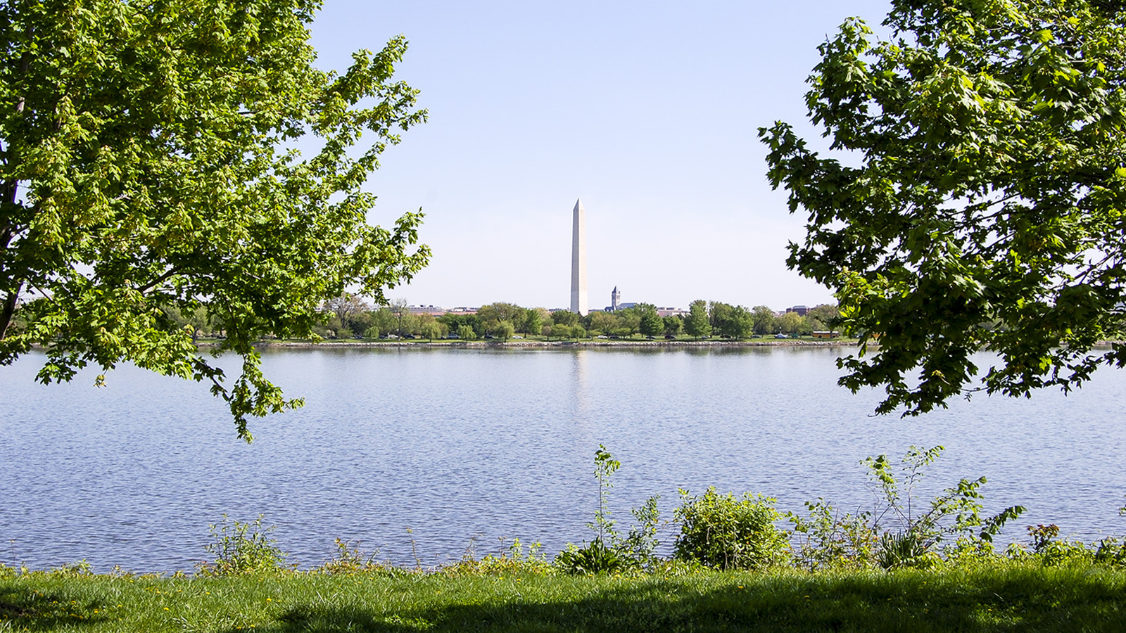 Lady Bird Johnson Park, Washington, DC