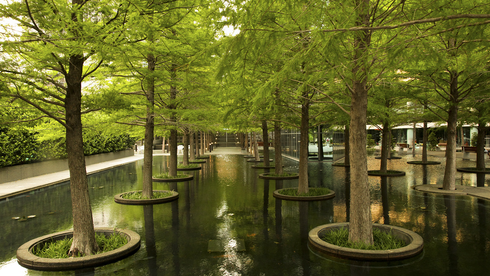 Dan Kiley and Peter Ker Walker. Fountain Place, Dallas, TX