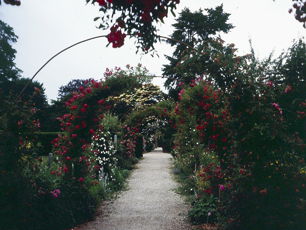 Planting Fields The Cultural Landscape Foundation Planting Fields The Cultural, Camellia House Planting Fields Arboretum