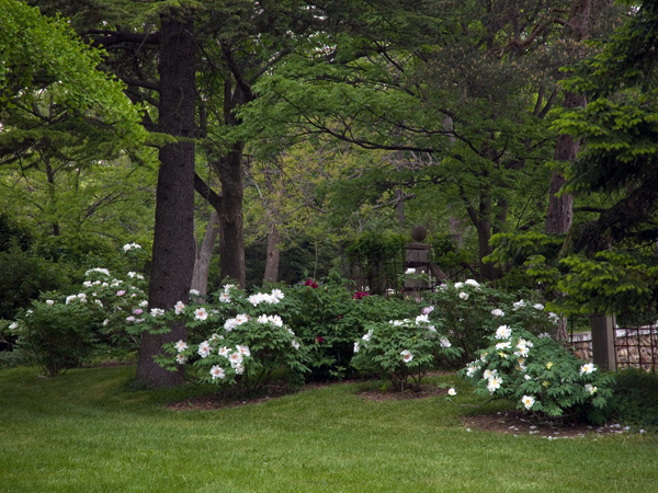 Linwood Gardens | The Cultural Landscape Foundation