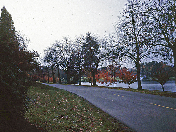 Seattle Parks and Boulevard System_08