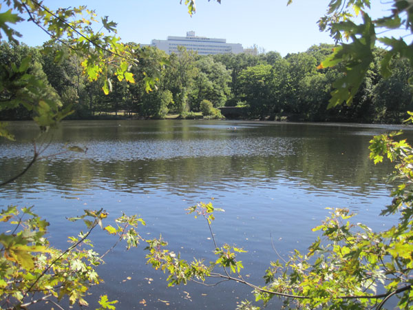 Olmsted Park_06