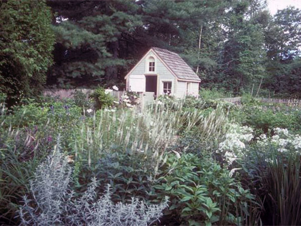 garden story driftwood garden story driftwood