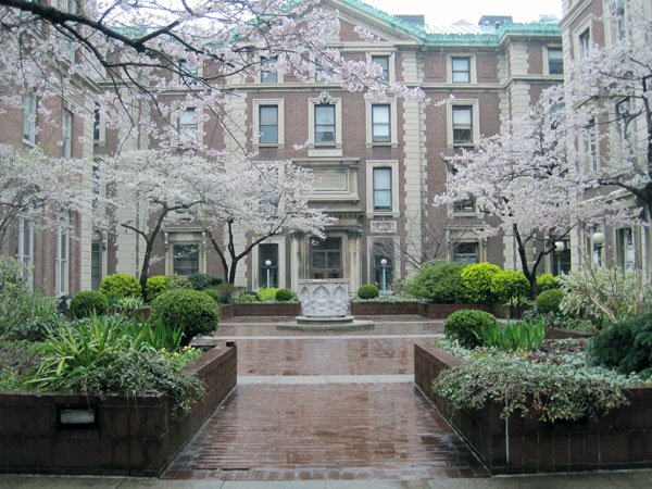 Columbia University in the City of New 