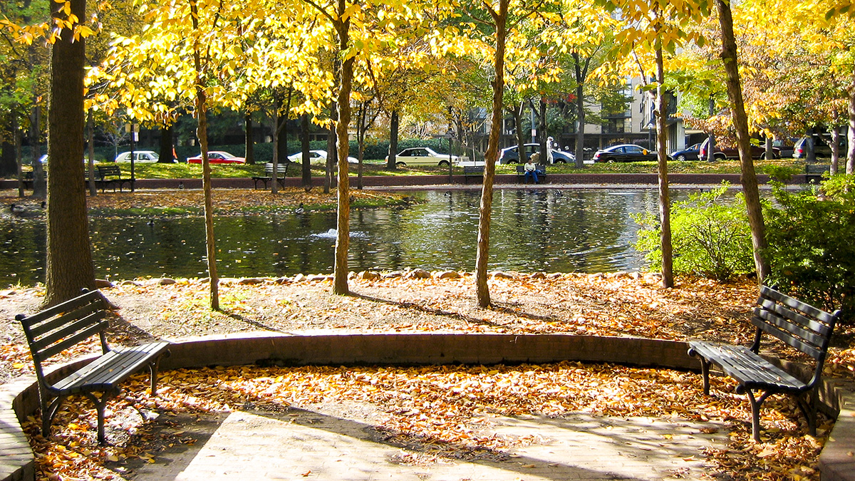 Southwest Duck Pond, Washington, D.C.