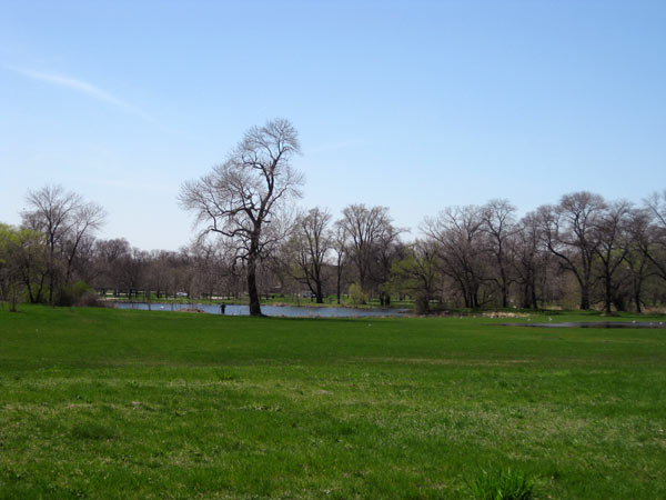 Washington Park-IL_01
