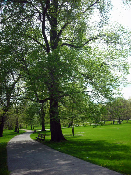 Washington Park-IL_06