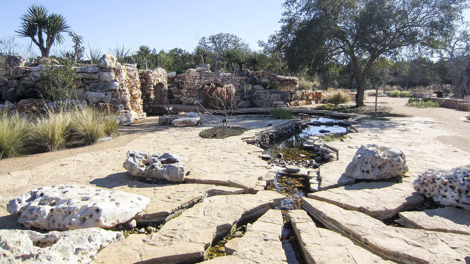 Lady Bird Johnson Wildflower Center, Austin, TX