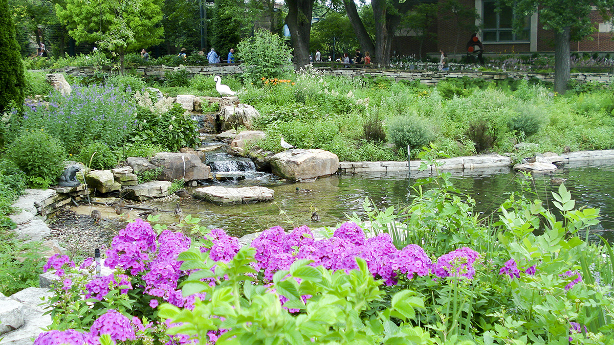 Lincoln Park Zoo, Chicago, IL