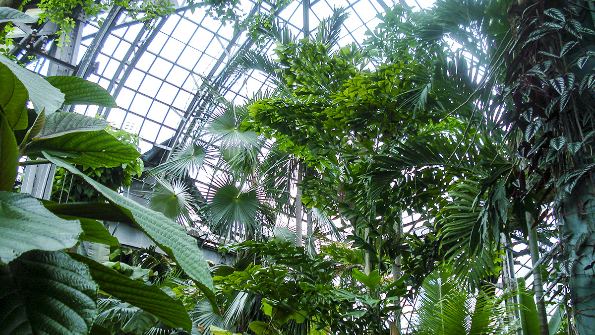 Lincoln Park Conservatory, Chicago, IL