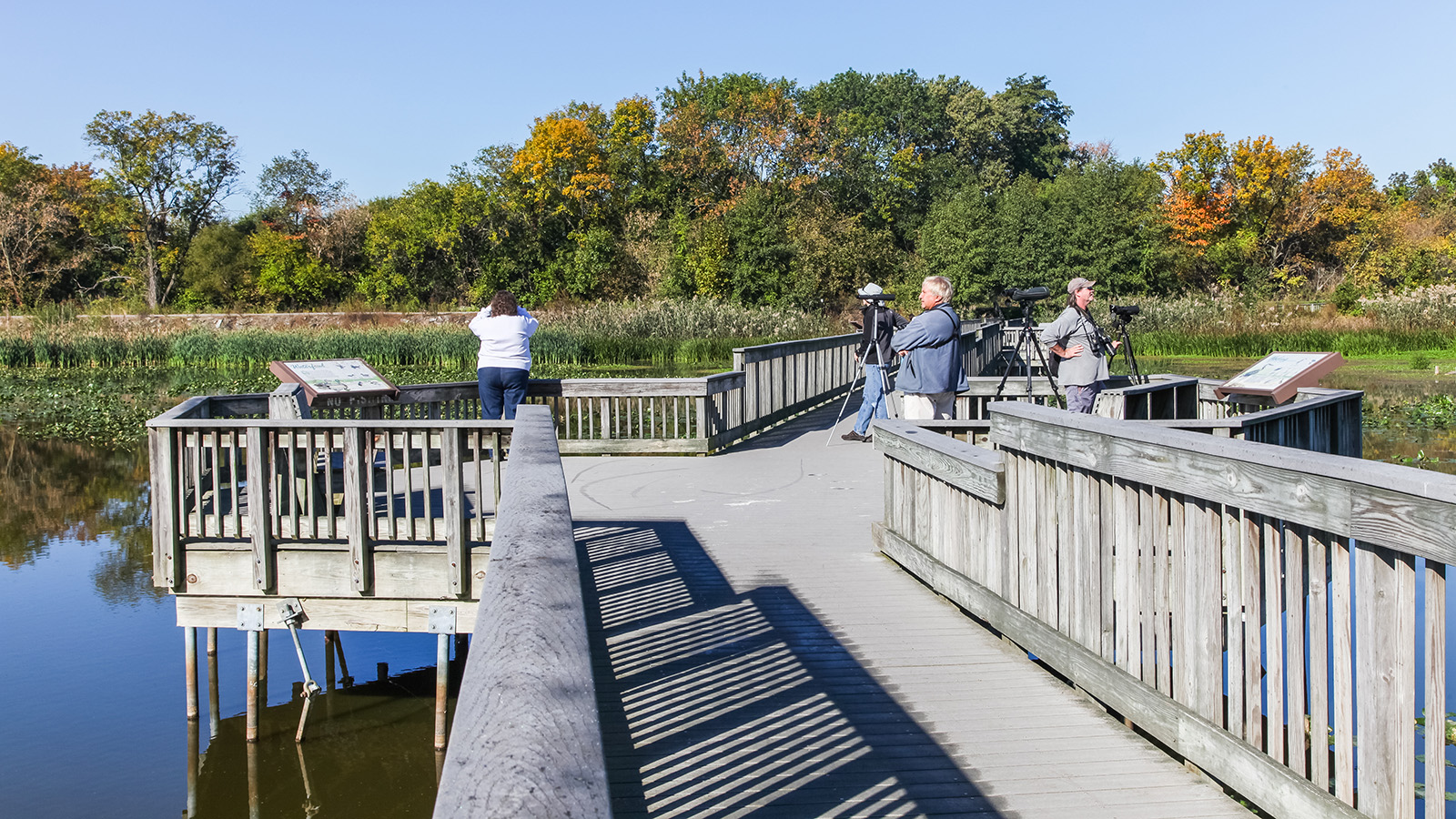 John Heinz National Wildlife Refuge at Tinicum, Philadelphia, PA