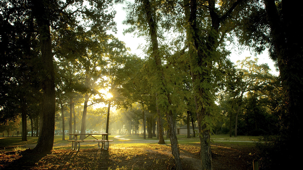 Memorial Park, Houston, TX