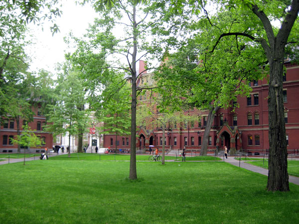 Harvard Yard_08