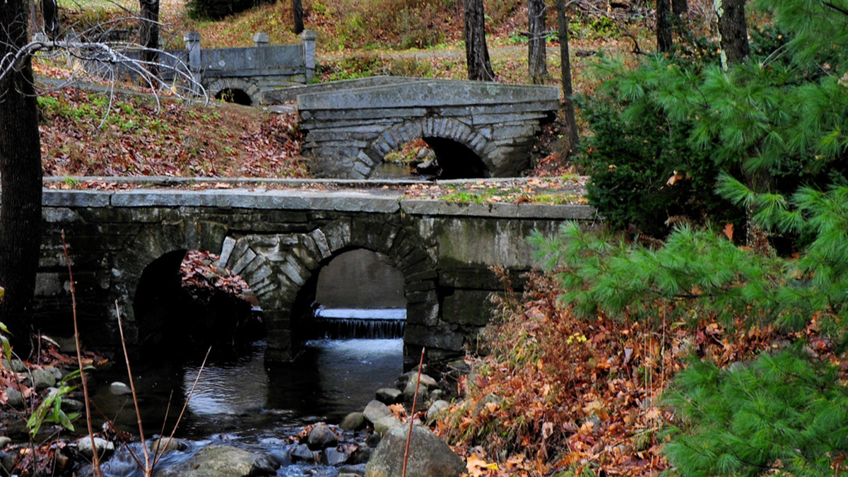 Abbott Park, Farmington, ME