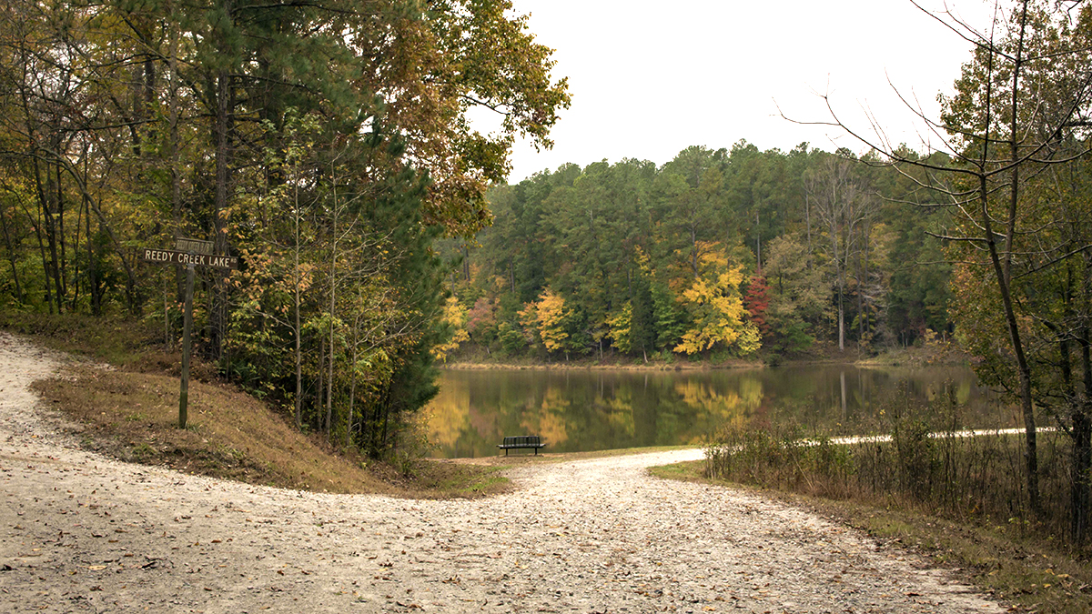 William B. Umstead State Park | The Cultural Landscape Foundation