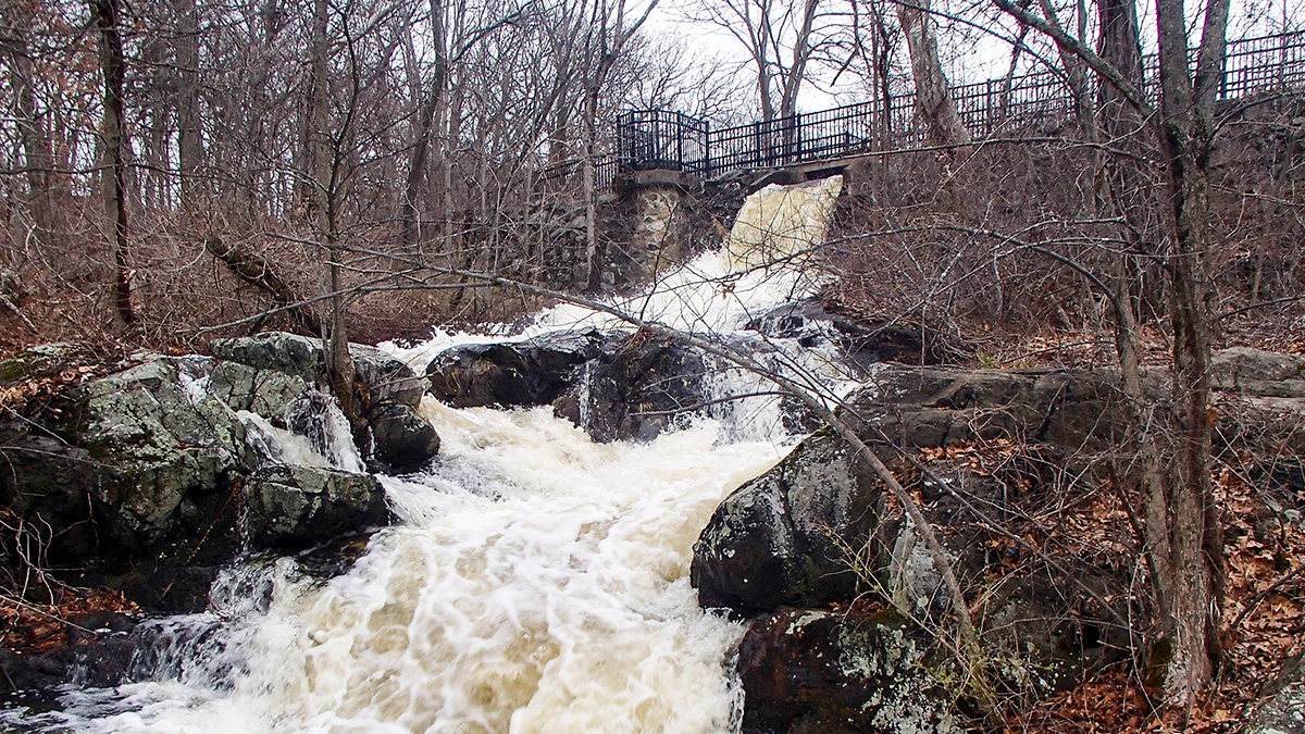 Beaver Brook Reservation, Belmont, MA