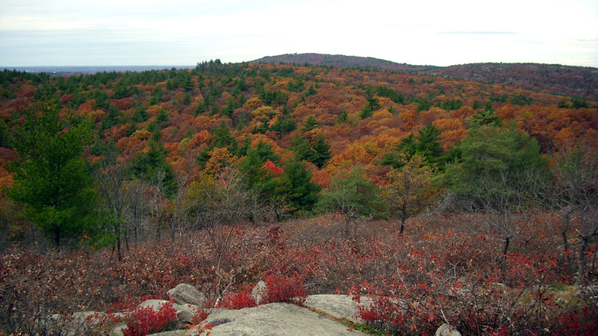 Blue Hills Reservation The Cultural Landscape Foundation