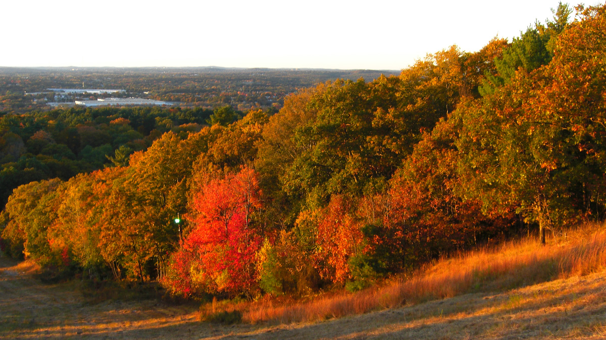 Blue Hills Reservation  The Cultural Landscape Foundation