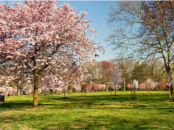 Branch Brook Park The Cultural Landscape Foundation